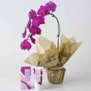 Orquídea Phalaenopsis Pink e Kit Natura Tododia Ameixa e Flor Baunilha