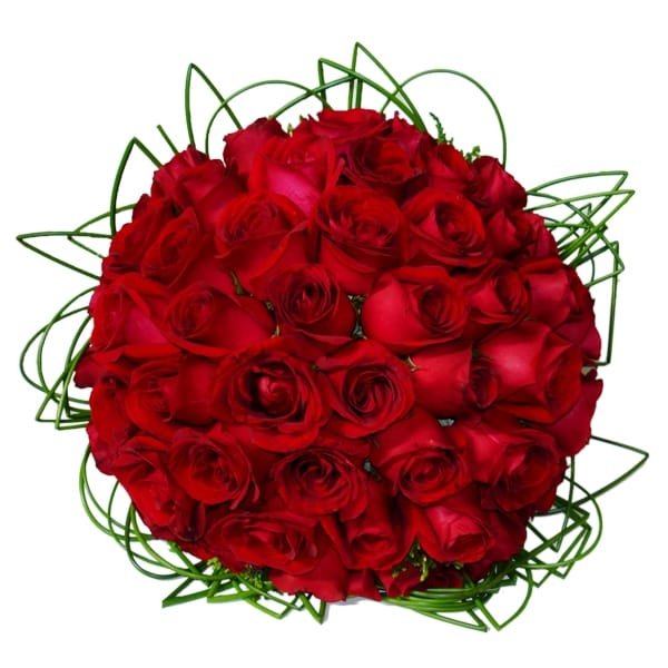 Buquê 50 Rosas Vermelhas Esplêndido